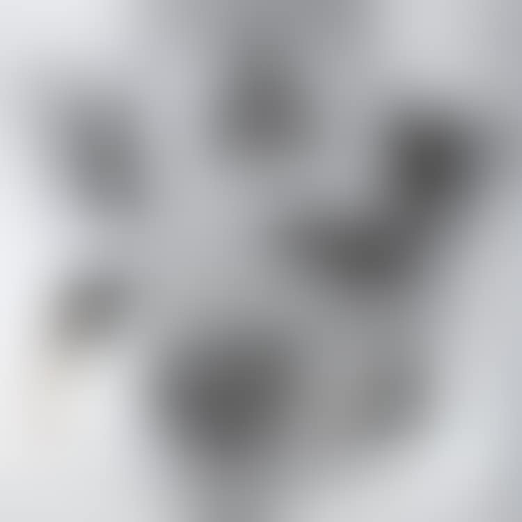 Portfolio "Zebra" (preview)