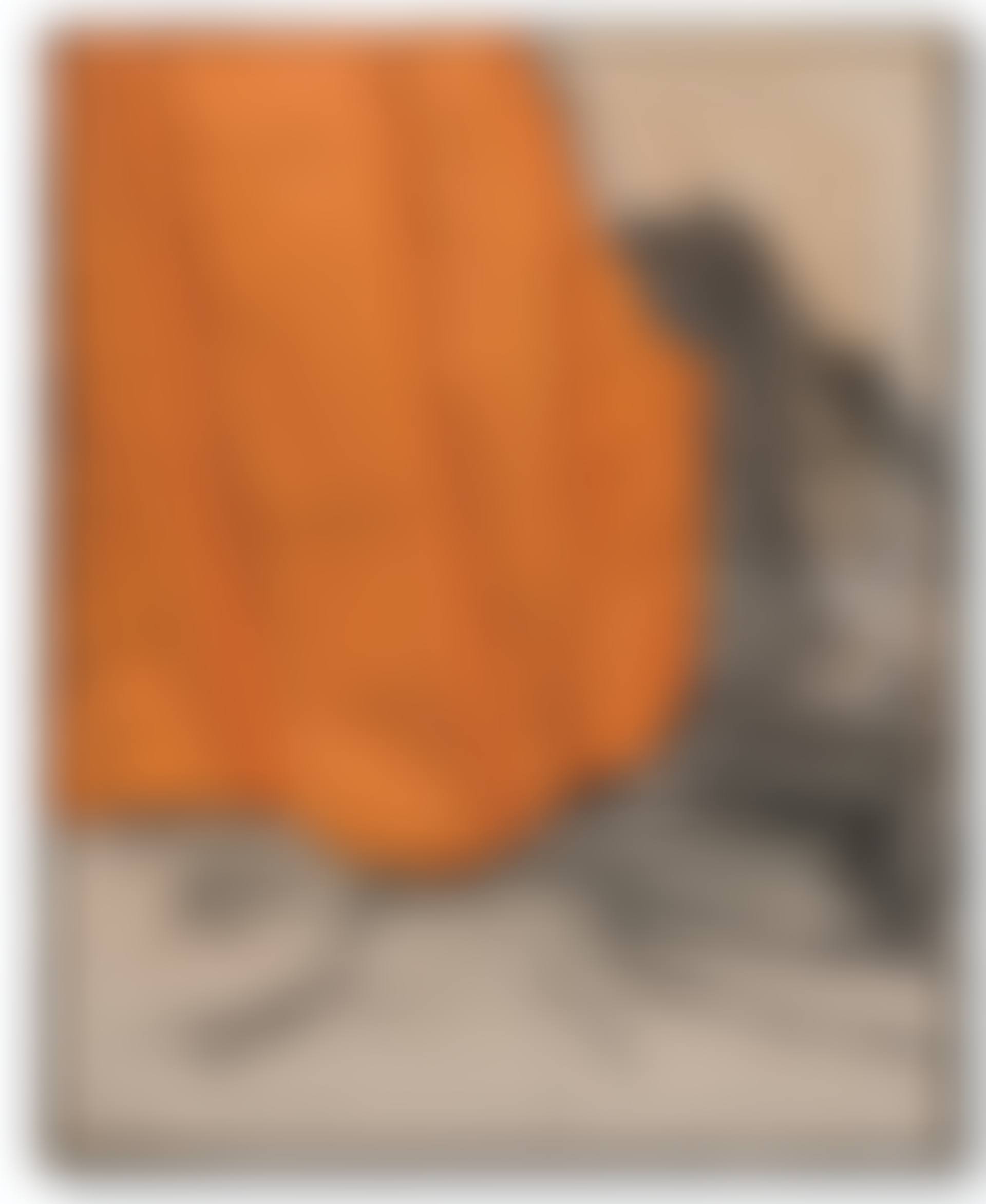 Valley Curtain (project for Colorado) (preview)