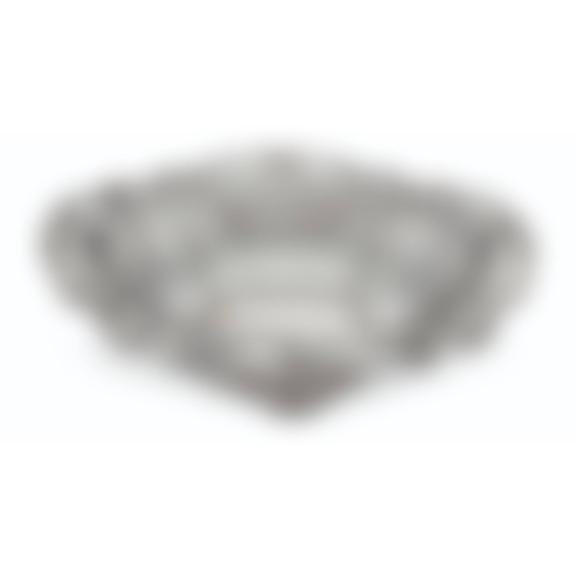 AN AMERICAN SILVER CENTERPIECE BOWL (preview)