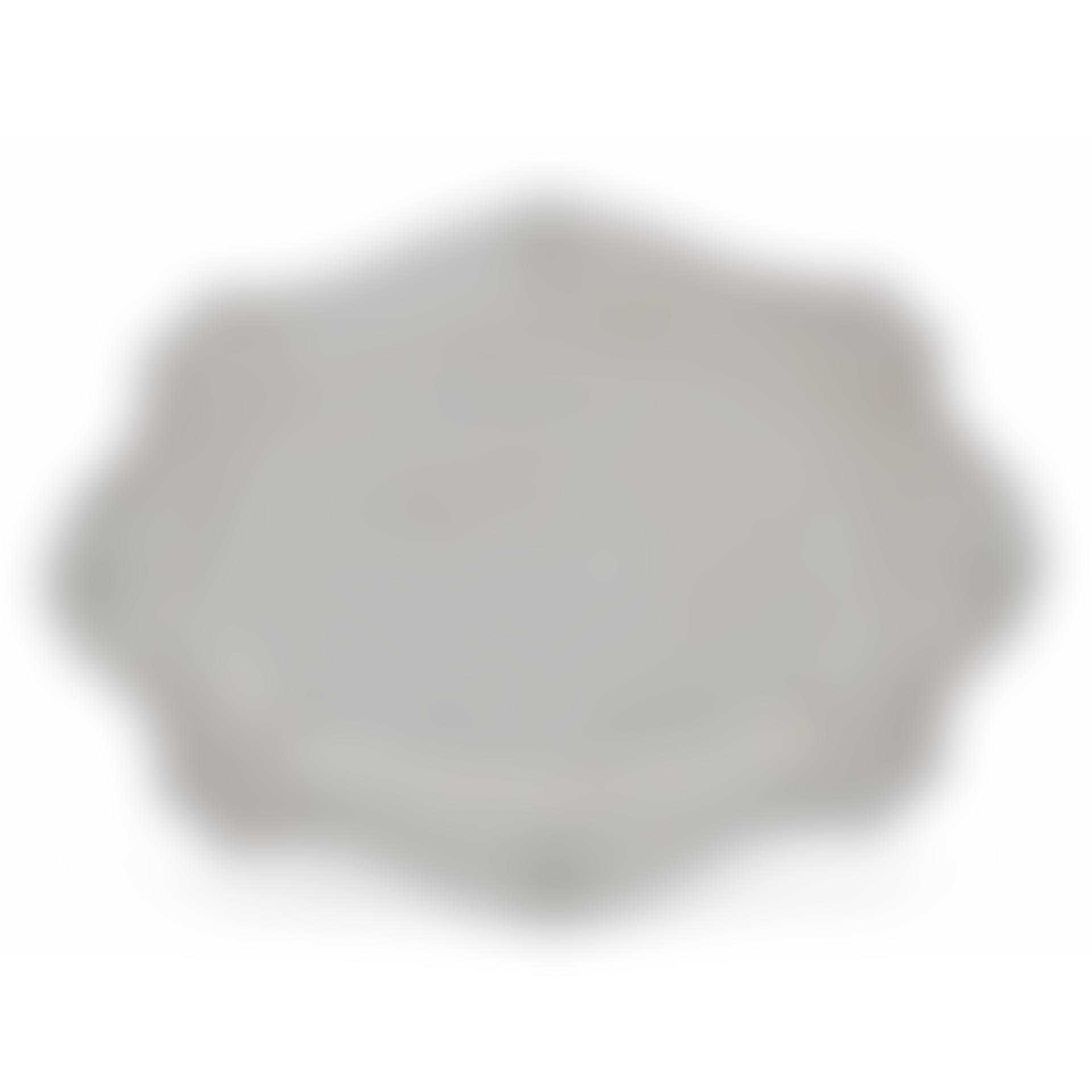 AN AMERICAN SILVER MEAT DISH (preview)