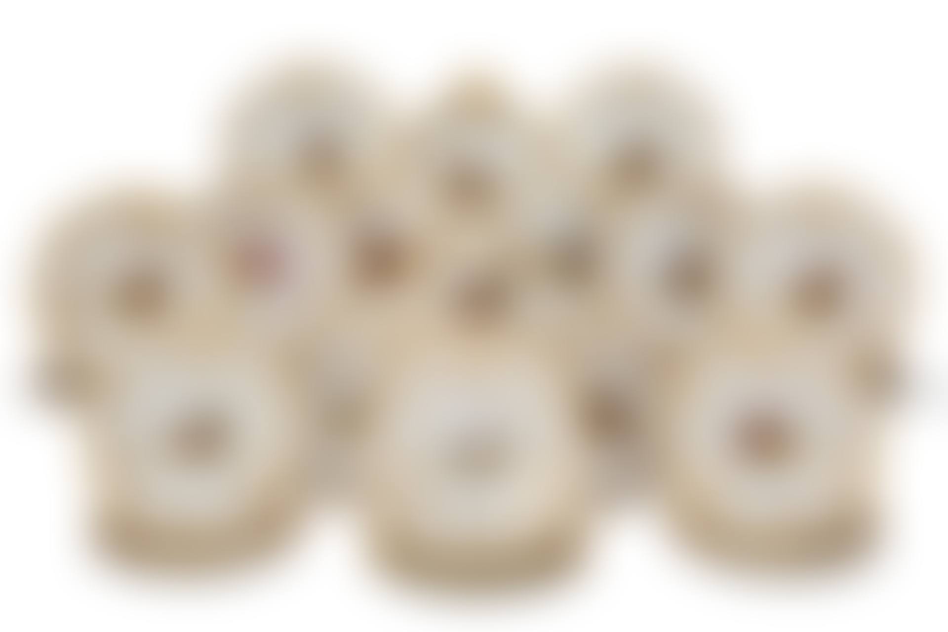 A WORCESTER (FLIGHT, BARR & BARR) PORCELAIN PART DESSERT SERVICE (preview)