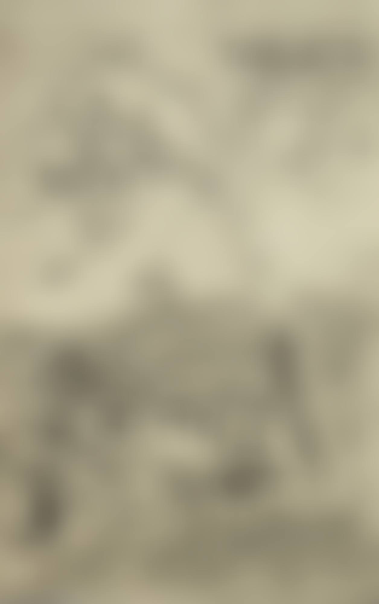 FIGURE IN A STRAW HAT OUTSIDE A FIFE COTTAGE (preview)