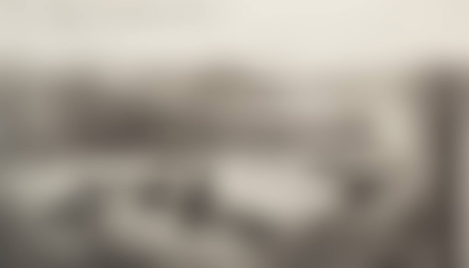 SEPTEMBER PARTRIDGE (preview)