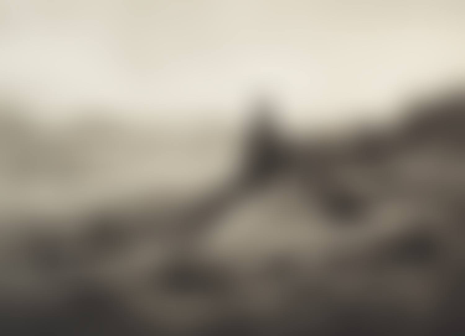 RED GROUSE AMONGST THE HEATHER (preview)