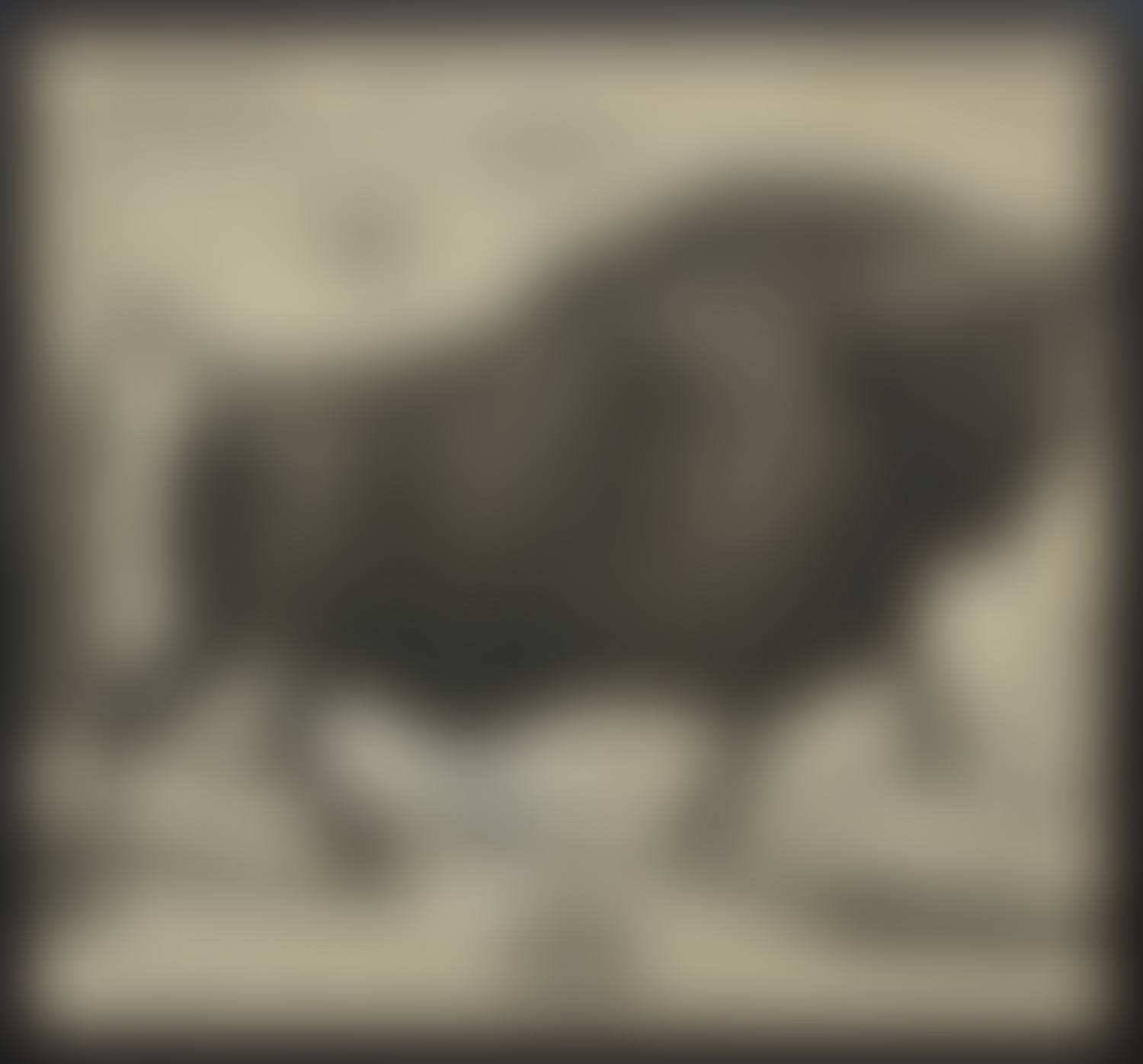 BISON (preview)