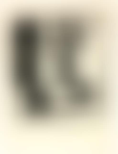 Vase mit Blumen (preview)