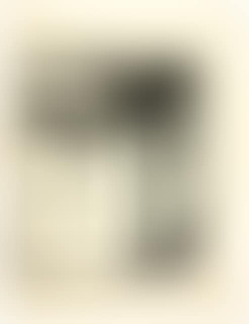 Winterlandschaft mit Bäumen (preview)