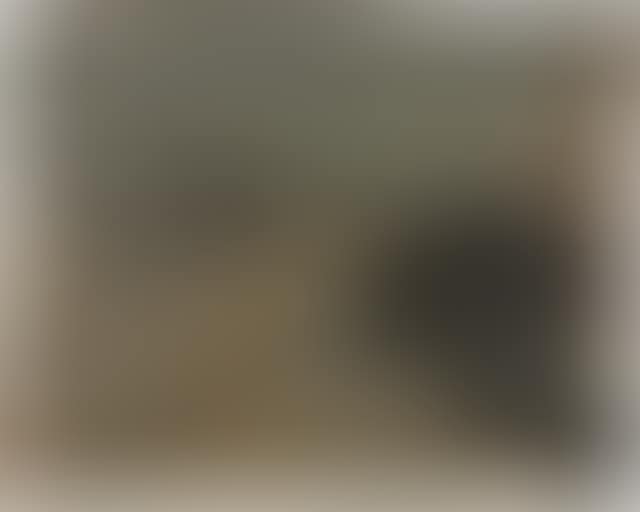 L"Effet de brume en gare (preview)