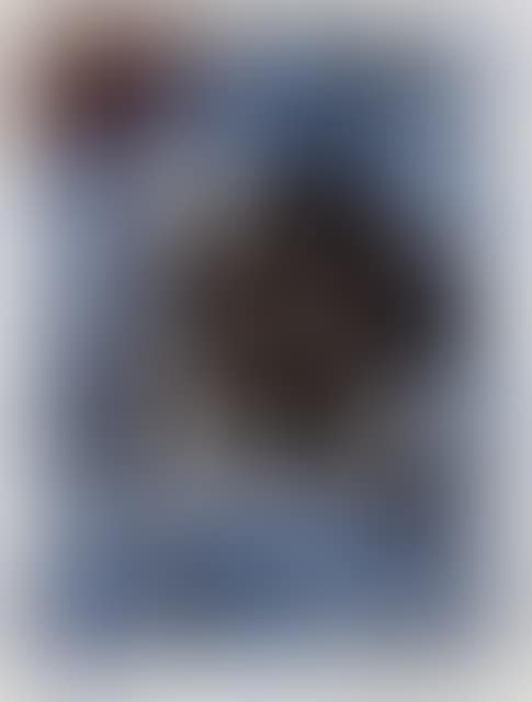 Untitled (preview)