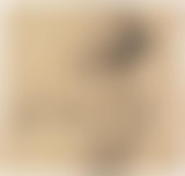 Schlafender Junge (preview)