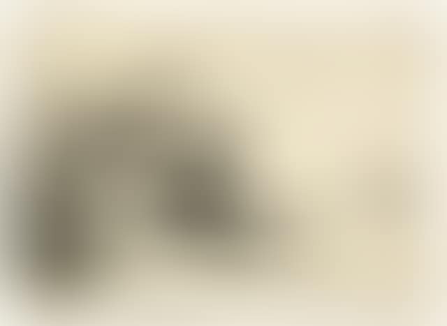 Schlepper mit Rauch (preview)