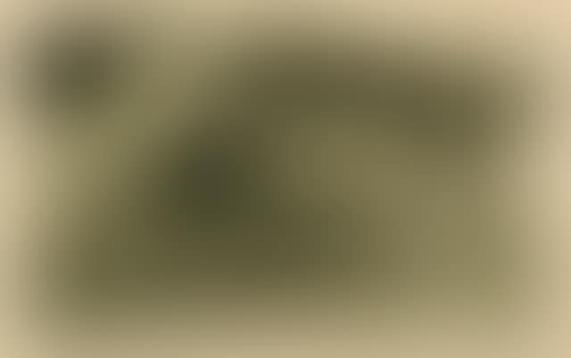 La femme aux figues (preview)