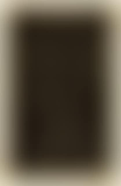 Wortträume und schwarze Sterne (preview)