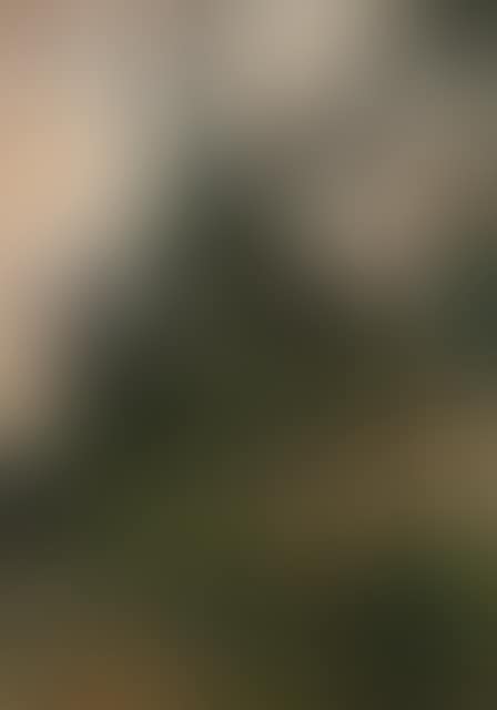 On the hillside (preview)