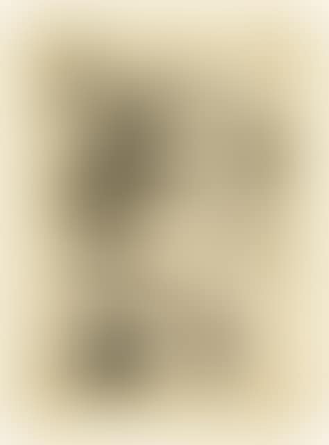 Studienblatt (preview)