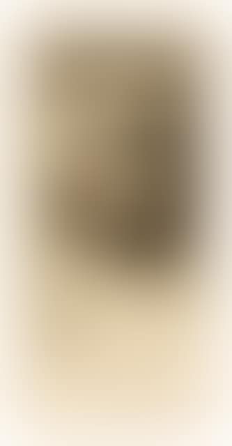 Selbstbildnis Zustandsfolge vom II., IV. und VII. Zustand (preview)
