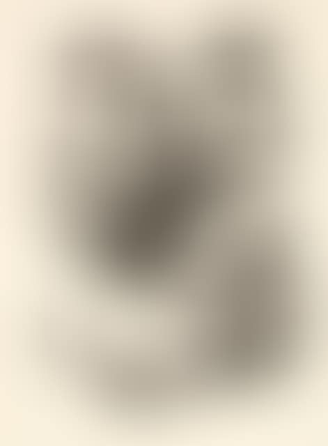Verbrüderung (preview)