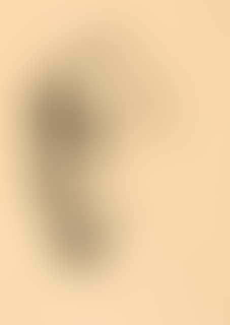Kleines Selbstbildnis nach links (preview)