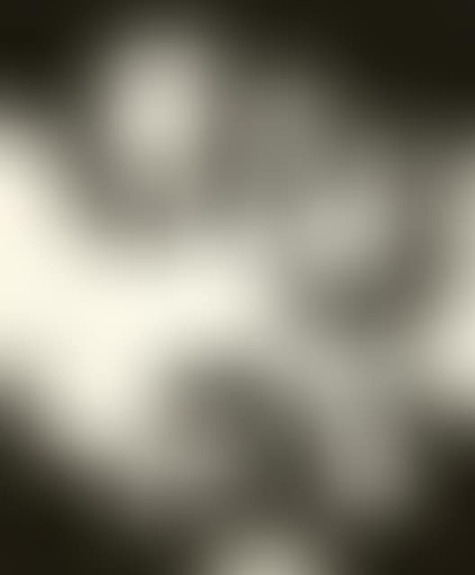 Usma II (preview)
