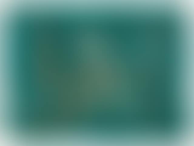 29.12.49 (preview)