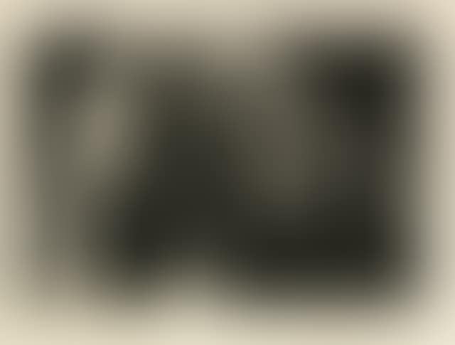 Self-portrait (preview)