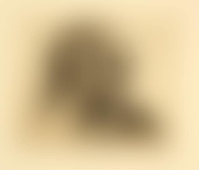 Selbstbildnis (preview)