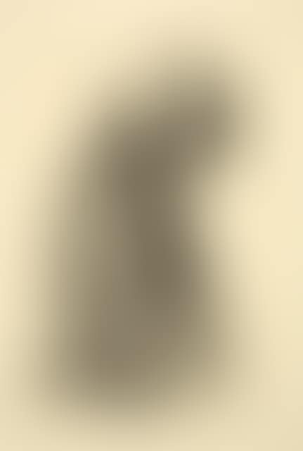 Selbstbildnis im Profil nach rechts (preview)