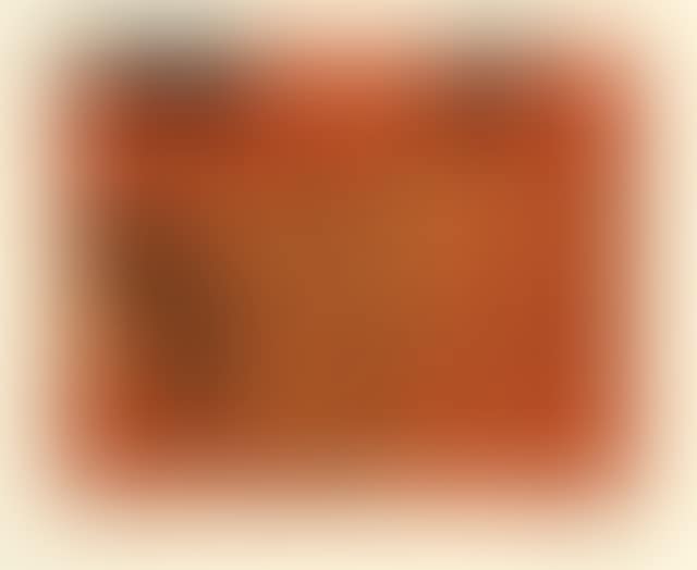  Sleeper (preview)
