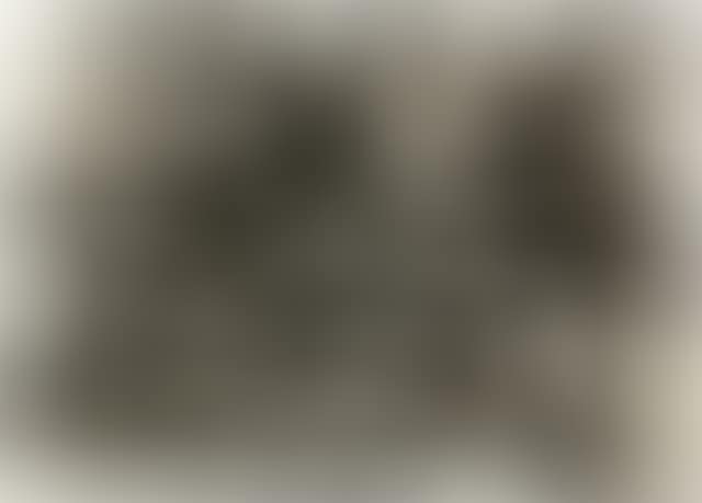 Black Beams (preview)