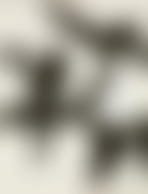 10 Origin (preview)