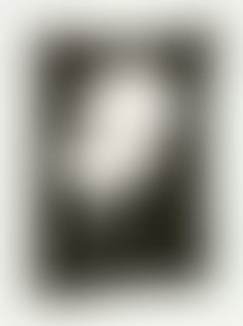 Hans Arp. elements (preview)