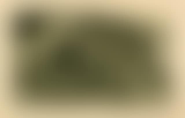 La Femme aux figures (preview)
