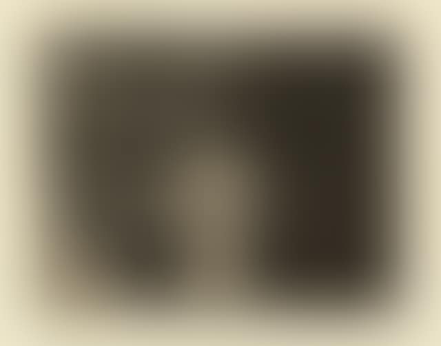 The Disasters of War - 10 sheets of the series (preview)