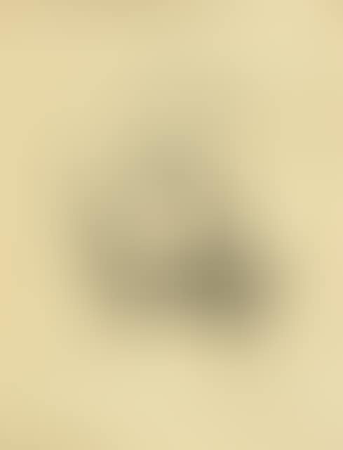 Begging - Crouching woman with her arm supported (preview)