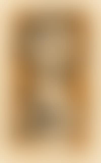 The saint of the inner light (preview)