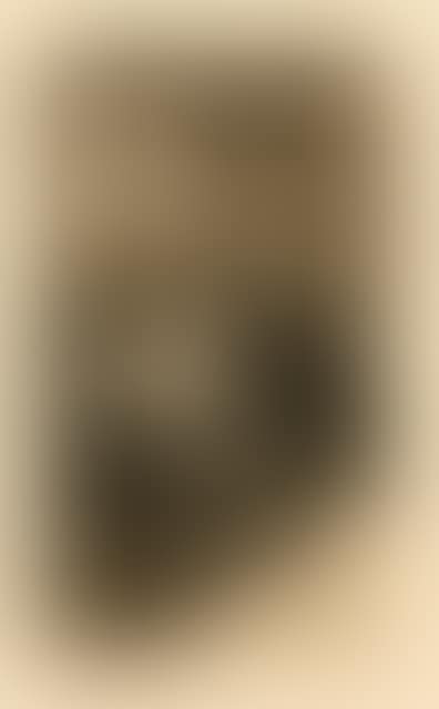 Advice; Rejected first version of the third sheet of the cycle “A Weber"s Revolt” (preview)