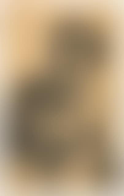 Bust portrait of a lady, turned slightly to the left (preview)