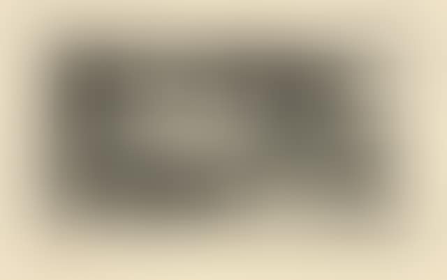 Pigeonneau in nothing (preview)