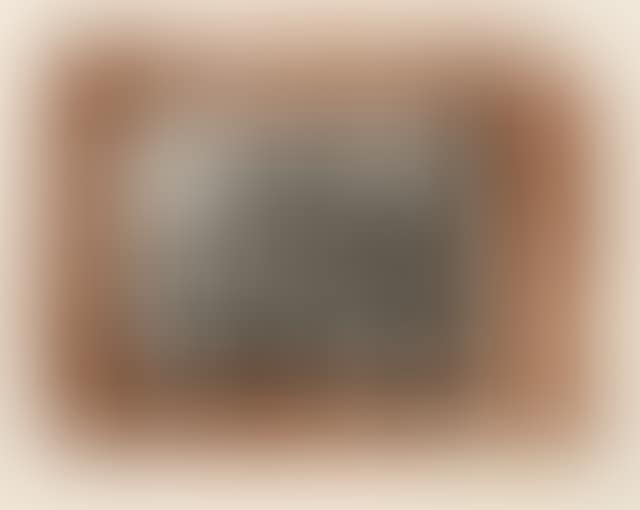 Portrait of the Ingredient family. IV (preview)