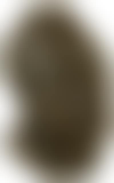 Self-portrait (preview)