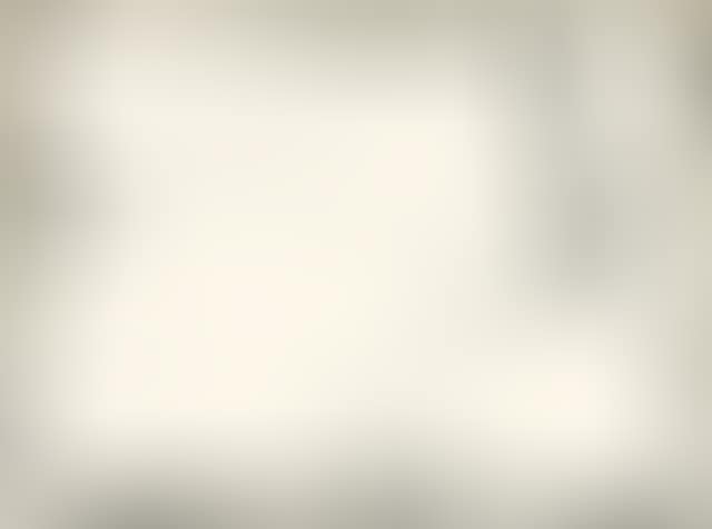 Untitled 1961 (preview)