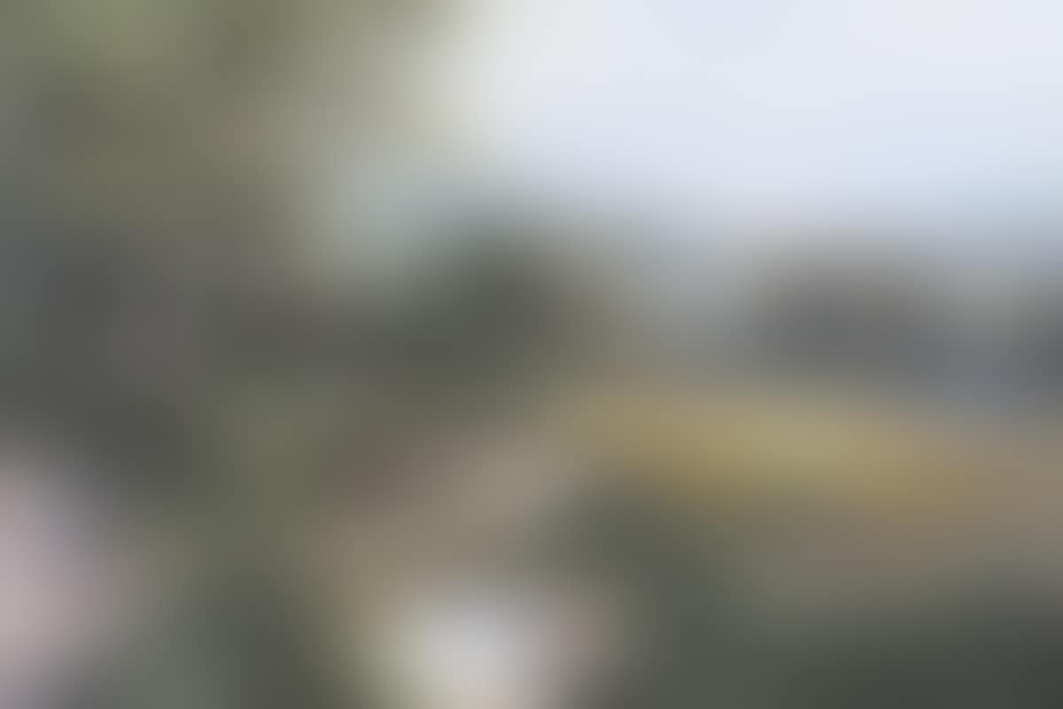 "OVERLOOKING STRANGFORD LOUGH" (preview)