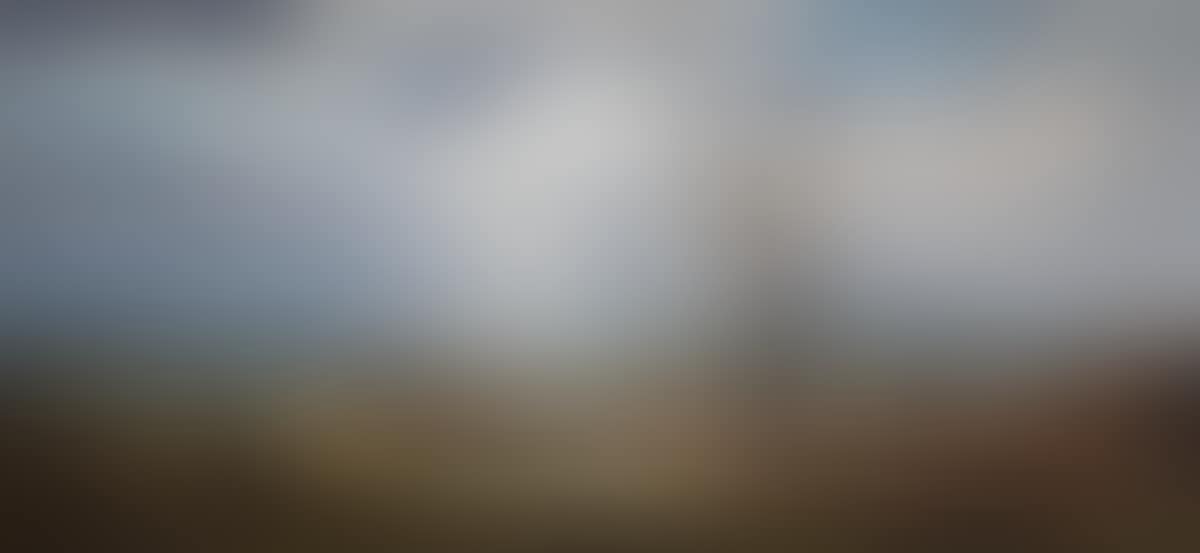 "ON THE COUNTY DOWN COAST" (preview)