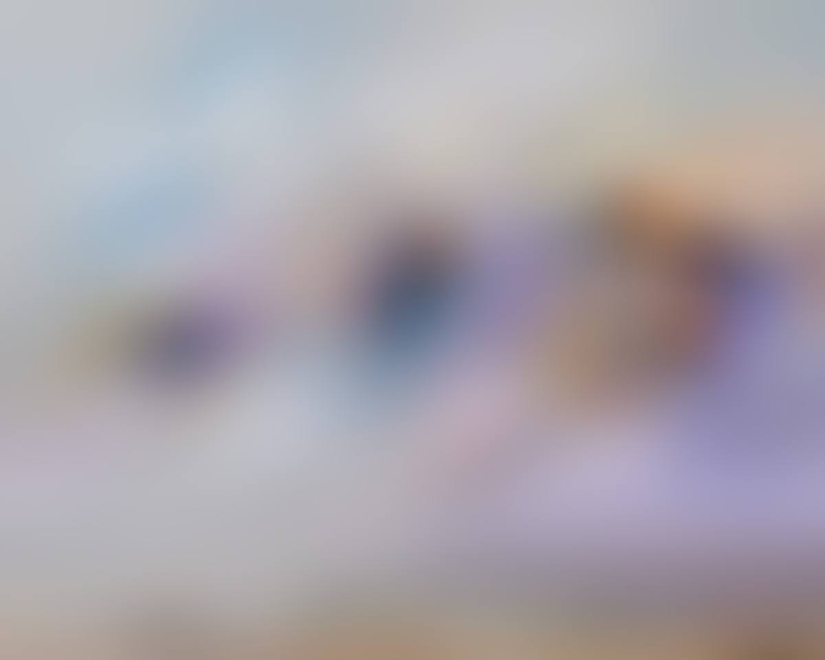 "THE PURSUIT OF HAPPINESS" (preview)