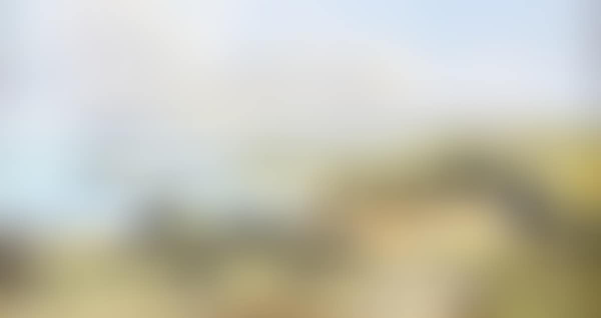 "THATCHED COTTAGE ON THE ANTRIM COAST" (preview)