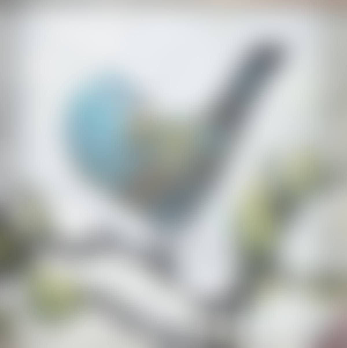"LITTLE BLUE BIRD" (preview)