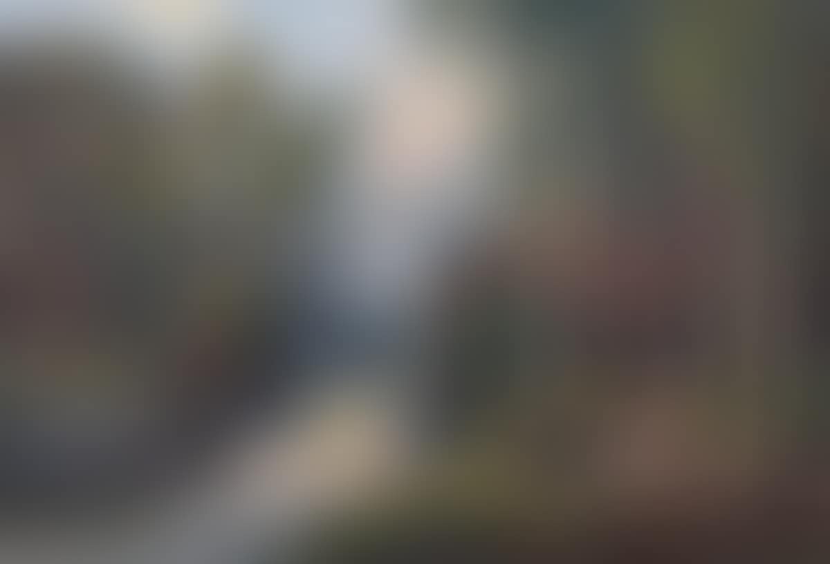 "STEPPING STONES, TOLLYMORE FOREST PARK" (preview)