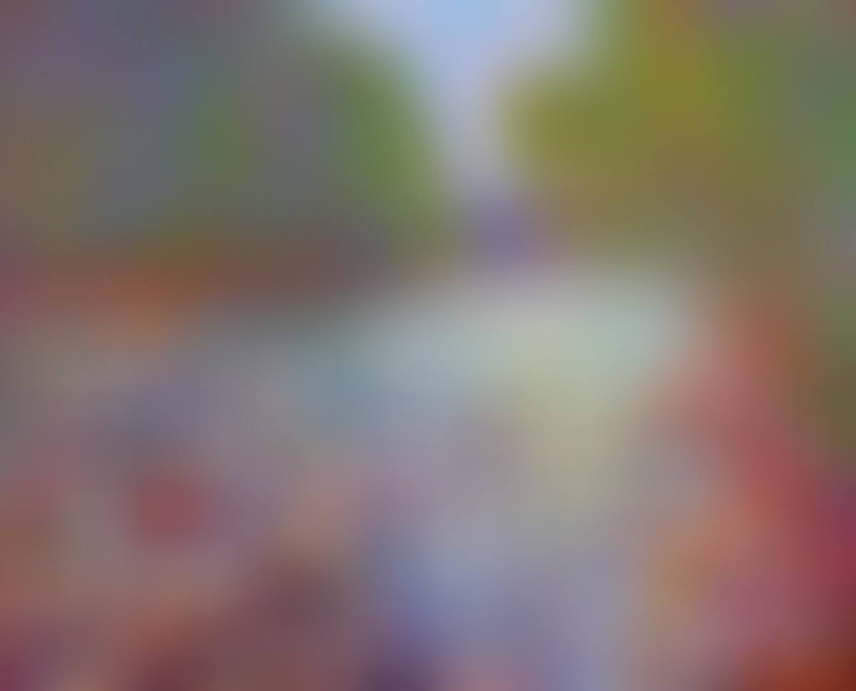 "DAPPLED LIGHT ON THE RIVER" (preview)