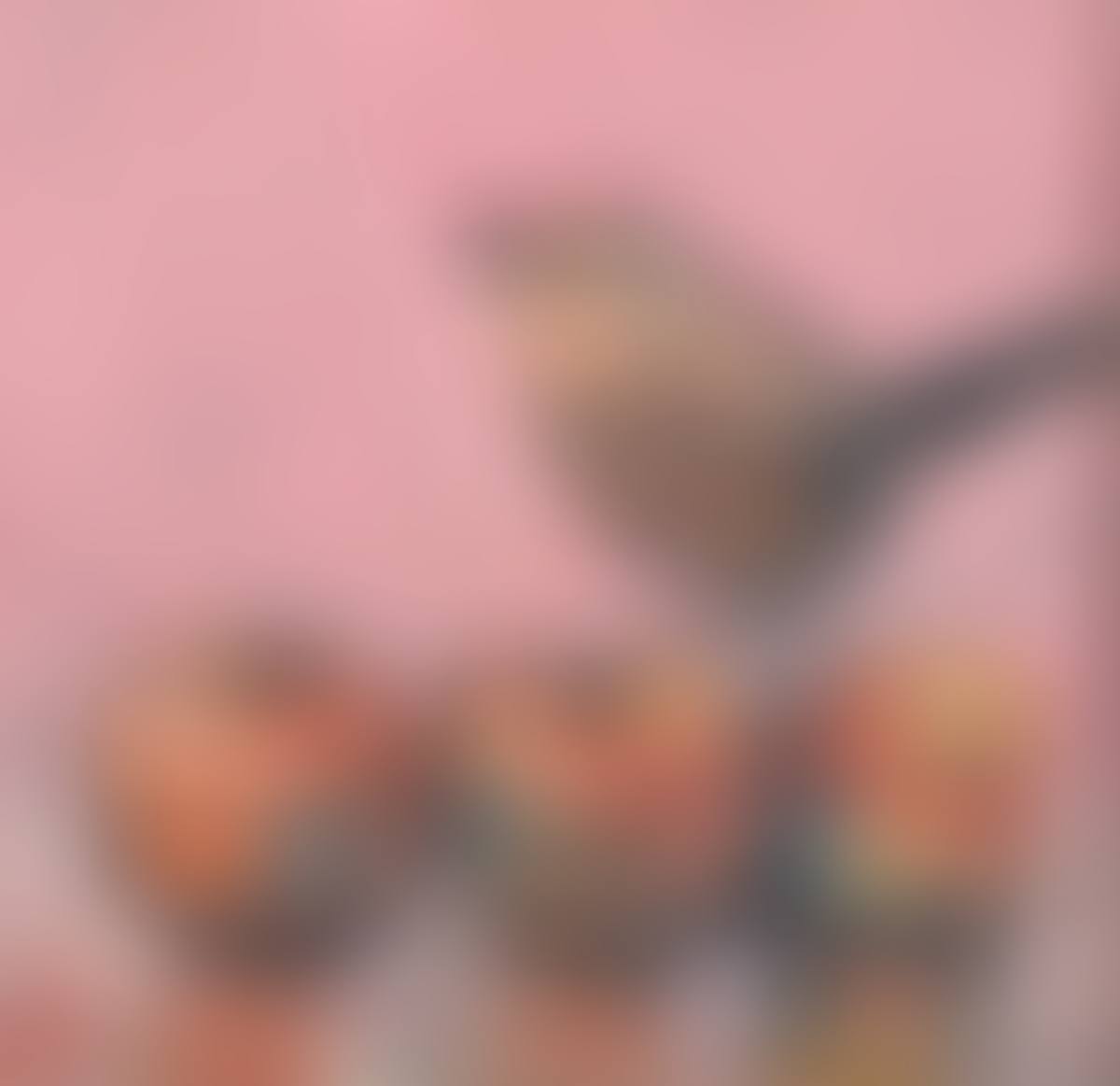 "LITTLE BROWN BIRD" (preview)