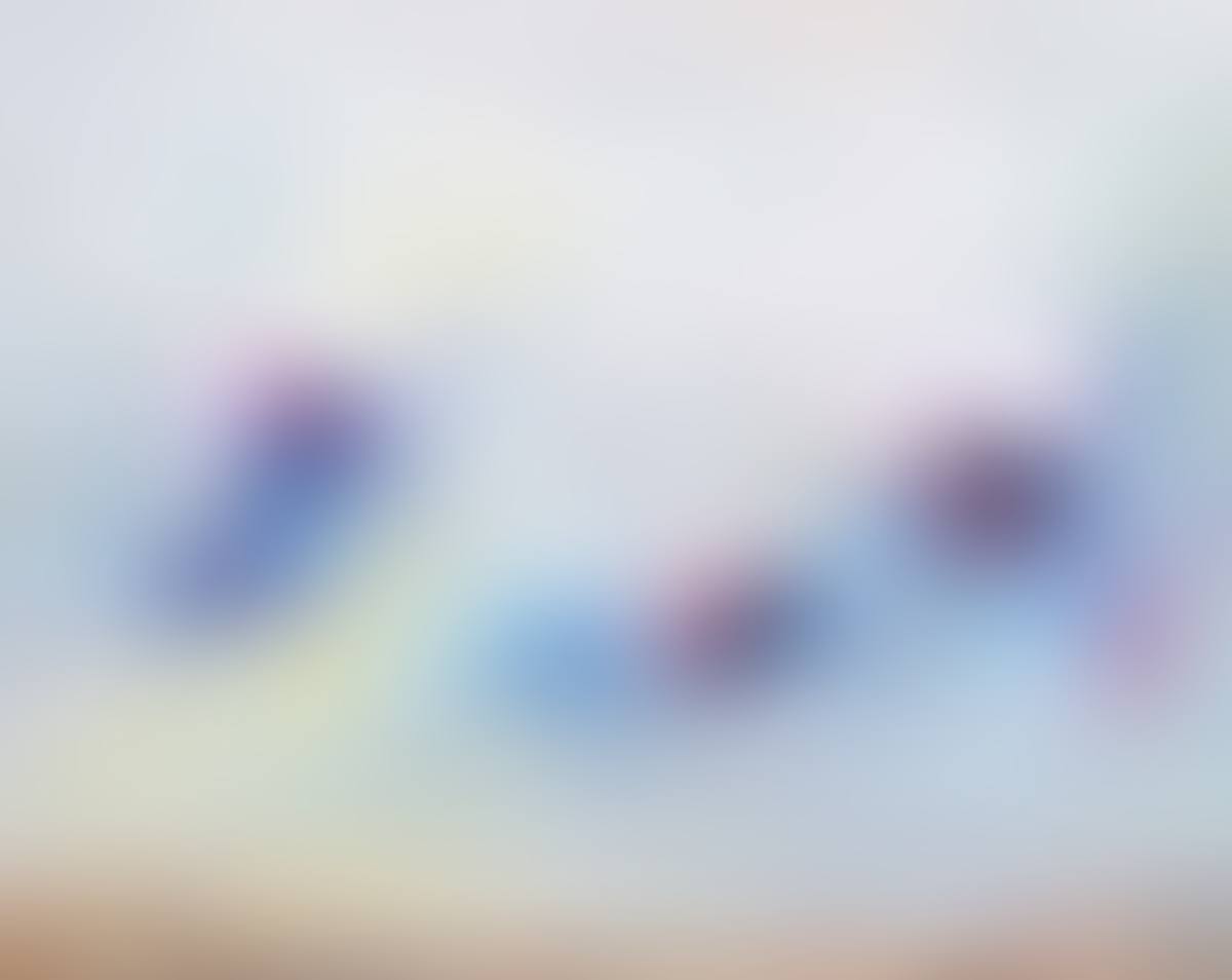 "FATE" (preview)